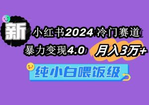 小红书2024冷门赛道 月入3万+ 暴力变现4.0 纯小白喂饭级-星河网创