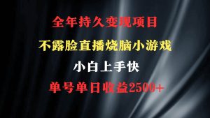 2024年 最优项目，烧脑小游戏不露脸直播  小白上手快 无门槛 一天收益2500+-星河网创