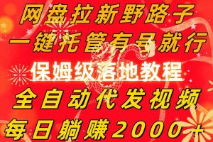 网盘拉新野路子，一键托管有号就行，全自动代发视频，每日躺赚2000＋，保姆级落地教程-星河网创
