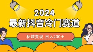 2024抖音最新冷门赛道，私域变现轻松日入200＋，作品制作简单，流量爆炸-星河网创