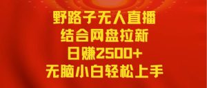 无人直播野路子结合网盘拉新,日赚2500+多平台变现,小白无脑轻松上手操作-星河网创
