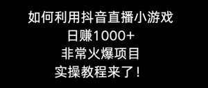 如何利用抖音直播小游戏日赚1000+，非常火爆项目，实操教程来了！-星河网创