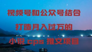 视频号和公众号结合打造月入过万的小说cps推文项目-星河网创