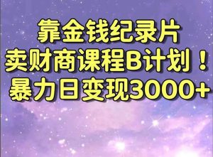 靠金钱纪录片卖财商课程B计划!暴力日变现3000+,喂饭式干货教程!-星河网创