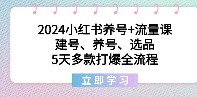 2024小红书养号+流量课：建号、养号、选品，5天多款打爆全流程-星河网创