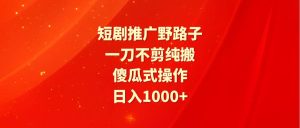 短剧推广野路子,一刀不剪纯搬运,傻瓜式操作,日入1000+-星河网创