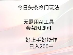 今日头条冷门玩法,无需用AI工具,会截图即可。门槛低好操作好上手,日…-星河网创