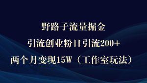 野路子流量掘金，引流创业粉日引流200+，两个月变现15W（工作室玩法））-星河网创