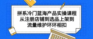 拼系冷门蓝海产品实操课程，从注册店铺到选品上架到流量维护环环相扣-星河网创