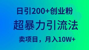 超暴力引流法，日引200+创业粉，卖项目月入10W+-星河网创