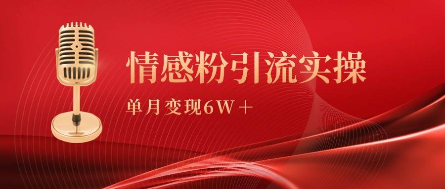 单月变现6w+，情感粉引流变现实操课-星河网创