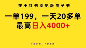 在小红书卖绝版电子书，一单199 一天最多搞20多单，最高日入4000+教程+资料-星河网创