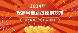 2024年视频号最新过原创技术，当天起号，收入稳定，日入1000+-星河网创