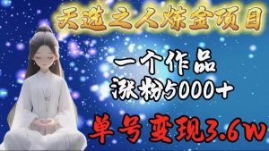 天选之人炼金项目，一个作品涨粉5000+，单号变现3.6w-星河网创