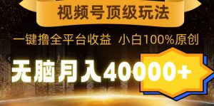 视频号顶级玩法，无脑月入40000+，一键撸全平台收益，纯小白也能100%原创-星河网创
