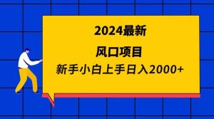 2024最新风口项目 新手小白日入2000+-星河网创