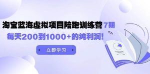 黄岛主《淘宝蓝海虚拟项目陪跑训练营7期》每天200到1000+的纯利润-星河网创