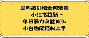 黑科技引爆全网流量小红书拉新，单日暴力收益7000+，小白也能轻松上手-星河网创