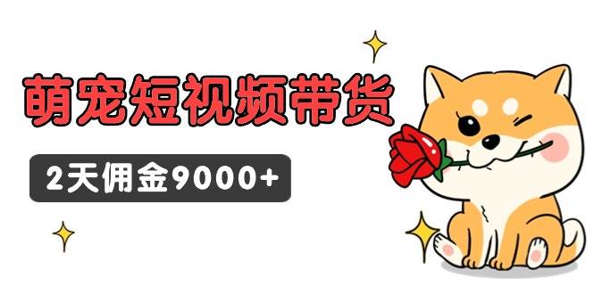 东哲日记·萌宠短视频带货,2天佣金9000+-星河网创