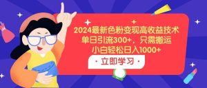 2024最新色粉变现高收益技术,单日引流300+,只需搬运,小白轻松日入1000+-星河网创