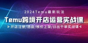 2024Temu跨境开店运营实战课,开店注册/选品/核价上架/日出千单实战课-星河网创