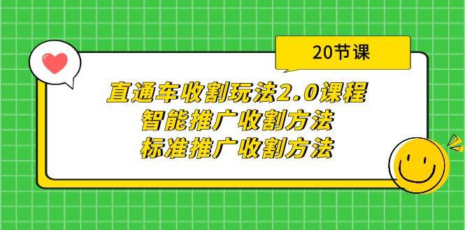 直通车收割玩法2.0课程：智能推广收割方法+标准推广收割方法（20节课）-星河网创