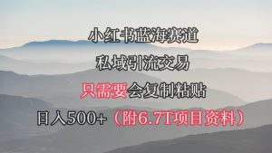小红书短剧赛道，私域引流交易，会复制粘贴，日入500+（附6.7T短剧资源）-星河网创