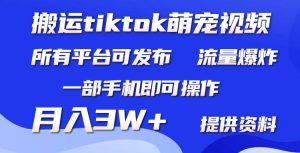 搬运Tiktok萌宠类视频，一部手机即可。所有短视频平台均可操作，月入3W+-星河网创