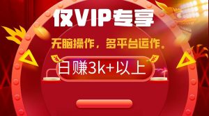 2024年最新一键多平台带货，这么简单无脑的操作日入3k+你玩过吗？几分钟…-星河网创