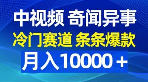 中视频奇闻异事，冷门赛道条条爆款，月入10000＋-星河网创