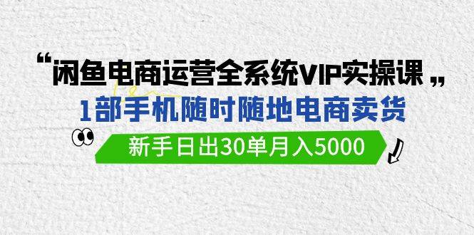 闲鱼电商运营全系统VIP实战课，1部手机随时随地卖货，新手日出30单月入5000-星河网创