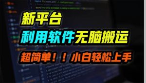 新平台用软件无脑搬运，月赚10000+，小白也能轻松上手-星河网创