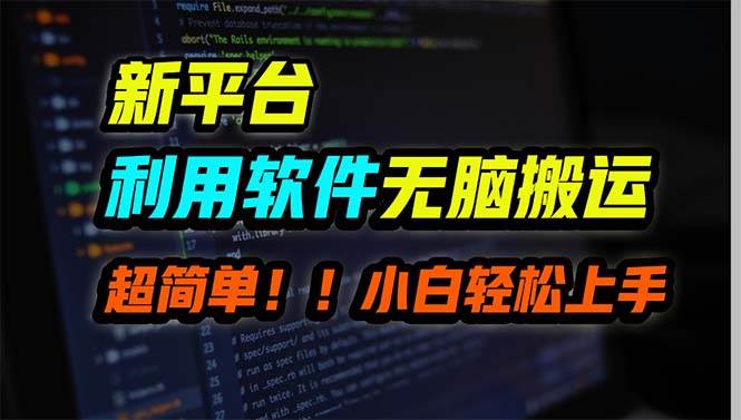 新平台用软件无脑搬运，月赚10000+，小白也能轻松上手-星河网创