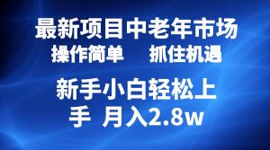 2024最新项目，中老年市场，起号简单，7条作品涨粉4000+，单月变现2.8w-星河网创