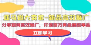 亚马逊 大卖家-新品高效推广，分享如何高效推广，打造百万美金爆款单品-星河网创