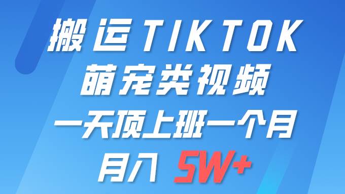 一键搬运TIKTOK萌宠类视频 一部手机即可操作 所有平台均可发布 轻松月入5W+-星河网创