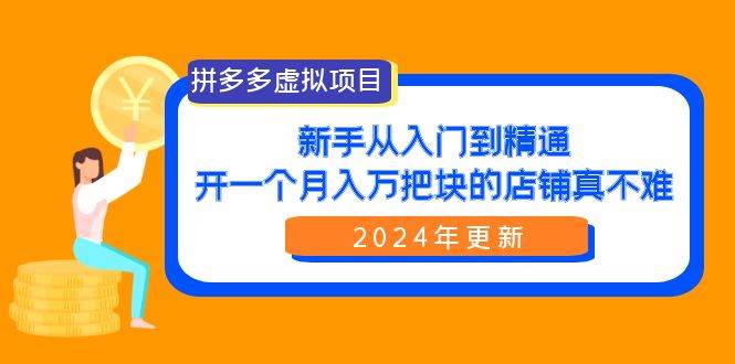 拼多多虚拟项目：入门到精通，开一个月入万把块的店铺 真不难（24年更新）-星河网创