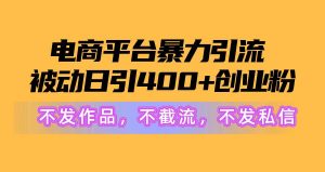 电商平台暴力引流,被动日引400+创业粉不发作品，不截流，不发私信-星河网创