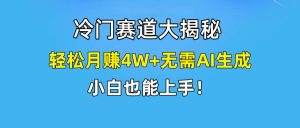 快手无脑搬运冷门赛道视频“仅6个作品 涨粉6万”轻松月赚4W+-星河网创