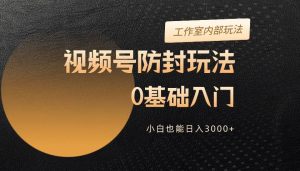 2024视频号升级防封玩法，零基础入门，小白也能日入3000+-星河网创