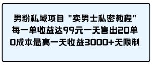 男粉私域项目 卖男士私密教程 每一单收益达99元一天售出20单-星河网创