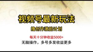 视频号最新玩法，每日一小时月入5000+-星河网创