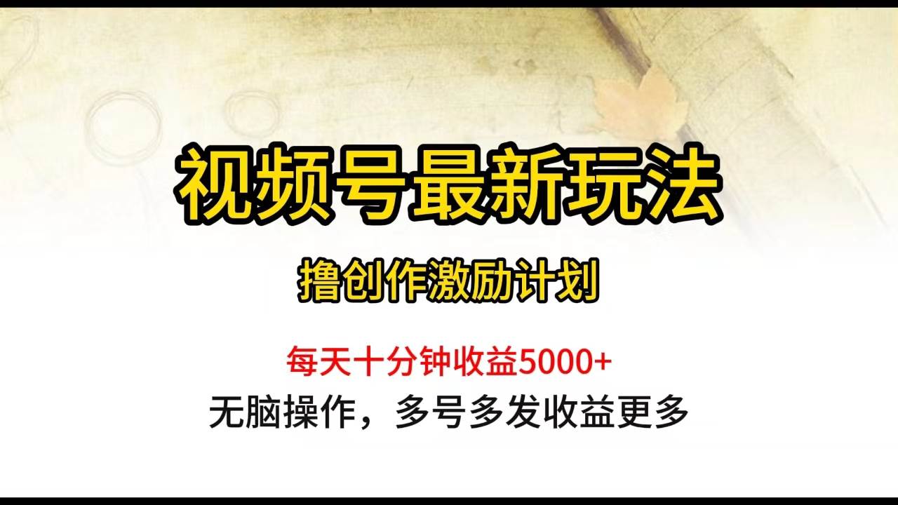 视频号最新玩法,每日一小时月入5000+-星河网创