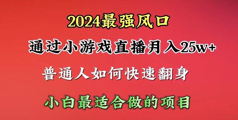 2024年最强风口，通过小游戏直播月入25w+单日收益5000+小白最适合做的项目-星河网创