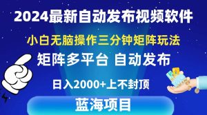 2024最新视频矩阵玩法,小白无脑操作,轻松操作,3分钟一个视频,日入2k+-星河网创