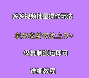 拼多多视频带货快速过爆款选品教程 每天轻轻松松赚取三位数佣金 小白必…-星河网创
