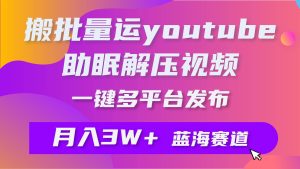 批量搬运YouTube解压助眠视频 一键多平台发布 月入2W+-星河网创