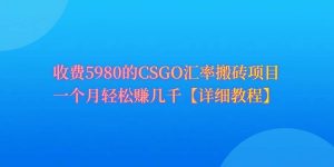 CSGO装备搬砖，月综合收益率高达60%，你也可以！-星河网创