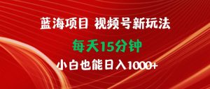 蓝海项目视频号新玩法 每天15分钟 小白也能日入1000+-星河网创