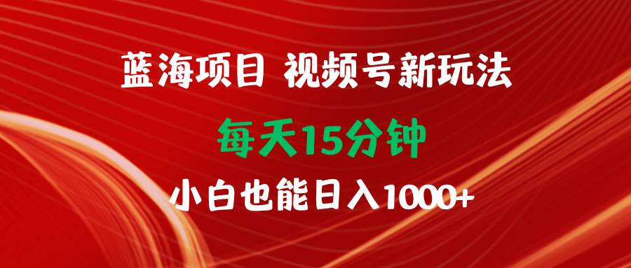蓝海项目视频号新玩法 每天15分钟 小白也能日入1000+-星河网创